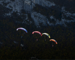 Parapente SKYWALK MESCAL 7