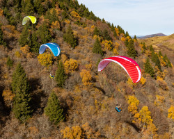 Parapente AIRDESIGN EAZY 4