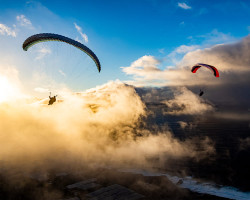 Parapente GIN BOLERO 8