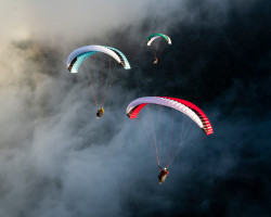 Parapente GIN BOLERO 8