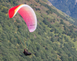 Parapente occasion NERVURES SPANTIK 2 M - Soaring Shop
