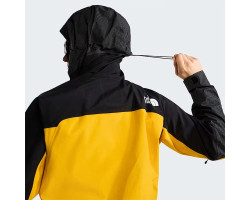 Veste THE NORTH FACE MOUNTAIN GTX PRO MS