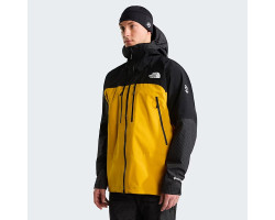 Veste THE NORTH FACE MOUNTAIN GTX PRO MS