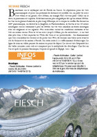 Livre "Parapente En Europe"