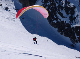 Parapente NERVURES WHIZZ