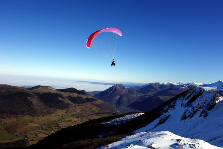 Parapente NERVURES WHIZZ