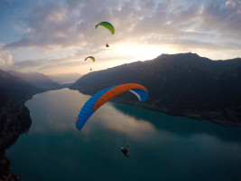 Parapente ADVANCE  ALPHA 6