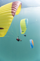 Parapente ADVANCE  ALPHA 6