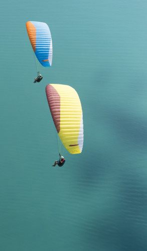 Parapente ADVANCE  ALPHA 6