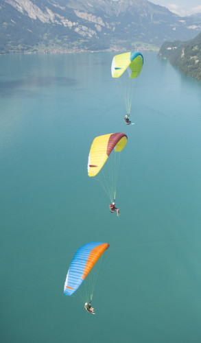 Parapente ADVANCE  ALPHA 6