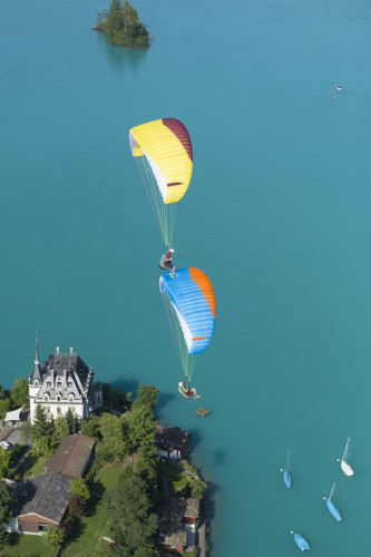 Parapente ADVANCE  ALPHA 6