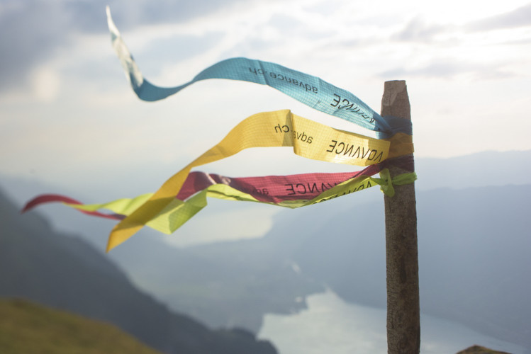 Parapente ADVANCE  ALPHA 6