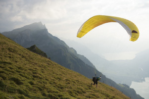 Parapente ADVANCE  ALPHA 6