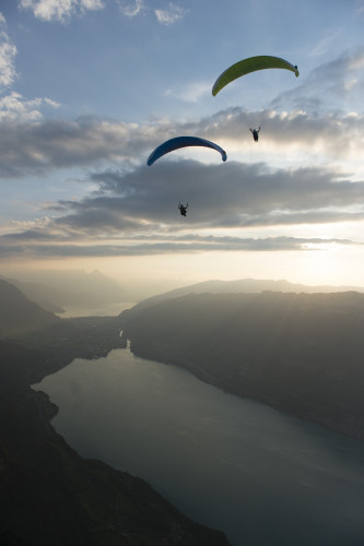 Parapente ADVANCE  ALPHA 6