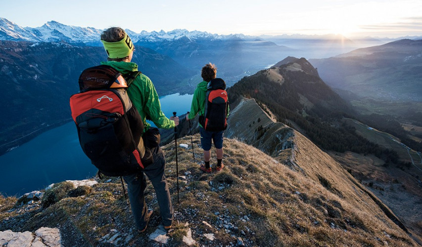 Sellette réversible ADVANCE EASINESS 2