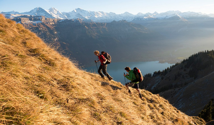 Sellette réversible ADVANCE EASINESS 2