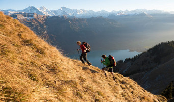 Sellette réversible ADVANCE EASINESS 2