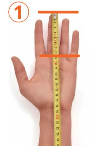 taille majeur